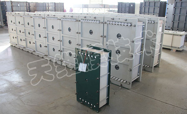 双极膜电渗析器